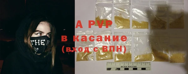 сатива Арсеньев