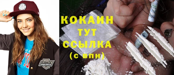 сатива Арсеньев