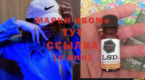 хмурый Аркадак